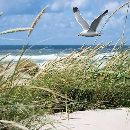 Sea View For 6 Guests Apartman