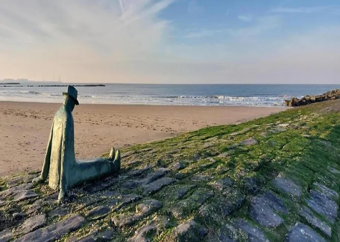 Sea View For 6 Guests *