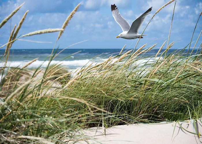 Sea View For 6 Guests Apartman